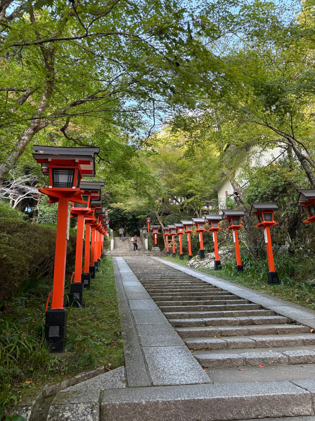 朱色の灯籠が並ぶ参道