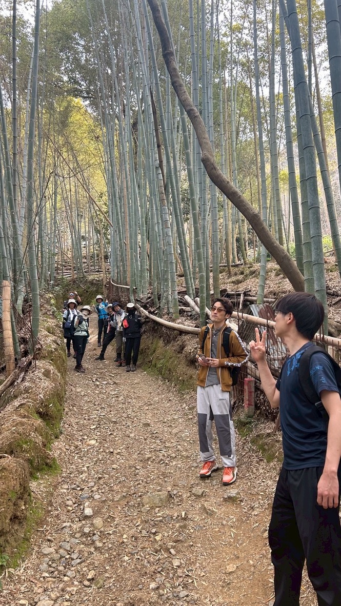 竹林の中を歩く