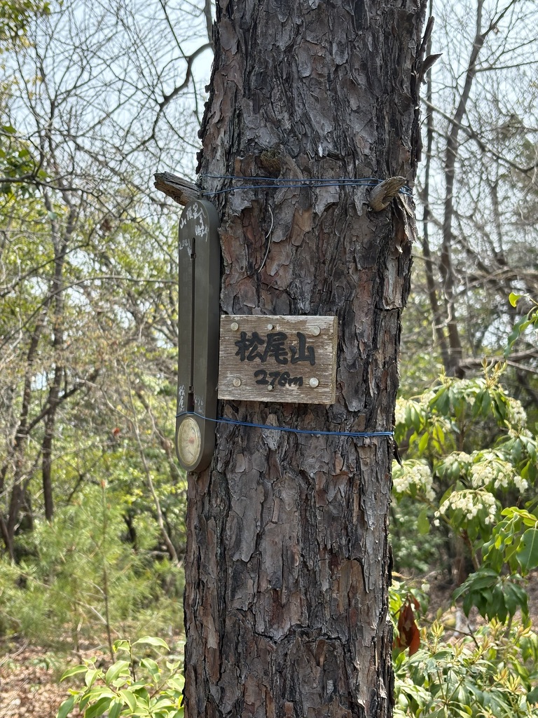松尾山のしるし
